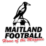 Maitland