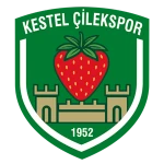 Kestel Çilek