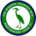 team logo