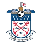 team logo