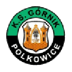 Górnik Polkowice